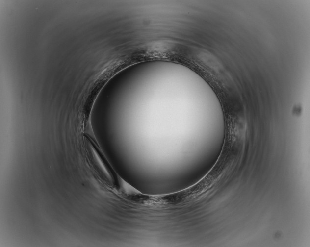X0000098150603200804171614