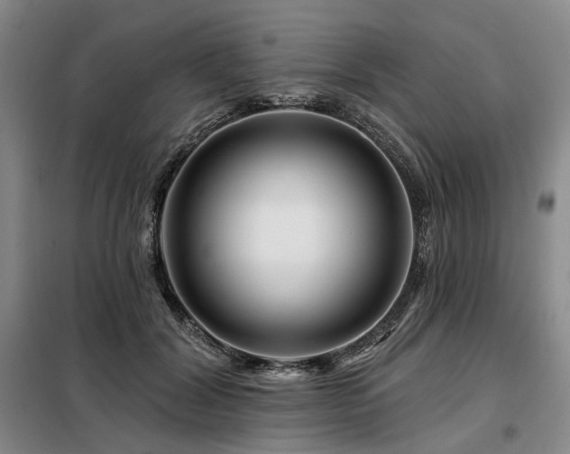 X0000098150604200804171614