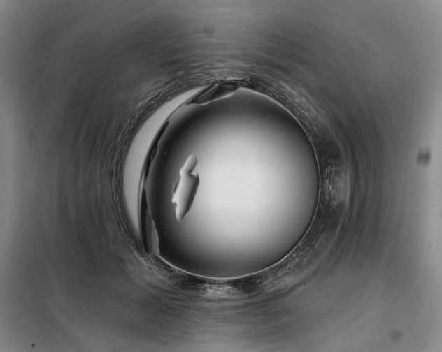 X0000098150605200804171614