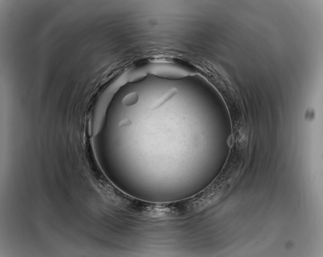 X0000098150607200804171614