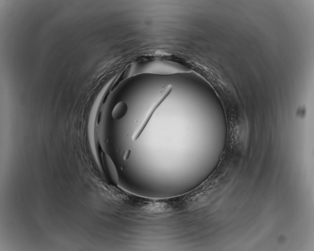 X0000098150609200804171614