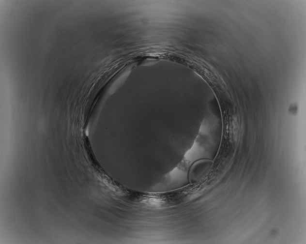 X0000098150610200804171614