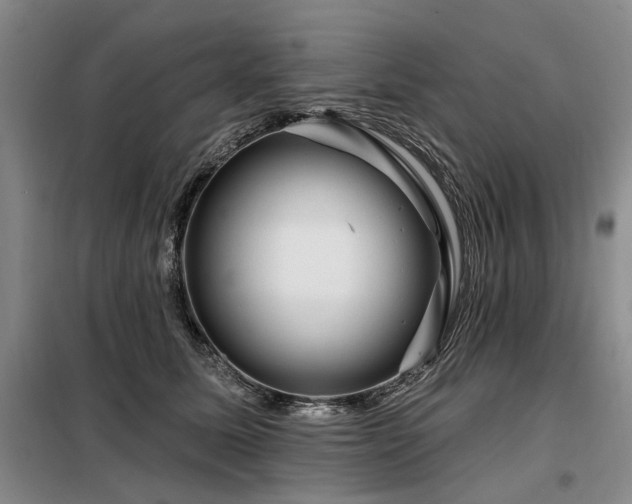 X0000098150611200804171614
