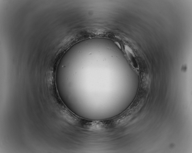 X0000098150612200804171614