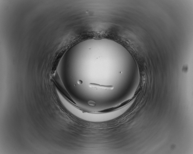 X0000098150613200804171614
