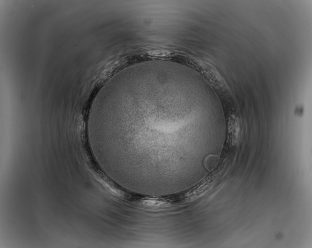 X0000098150614200804171614