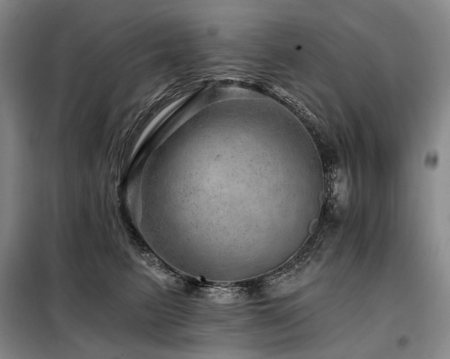 X0000098150615200804171614
