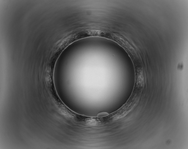 X0000098150616200804171614