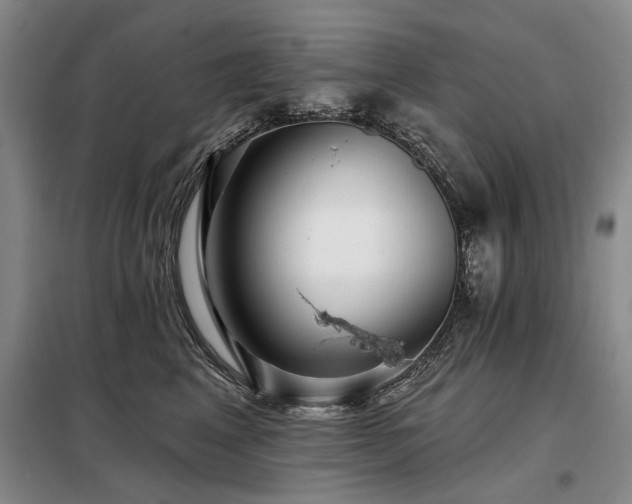 X0000098150617200804171614