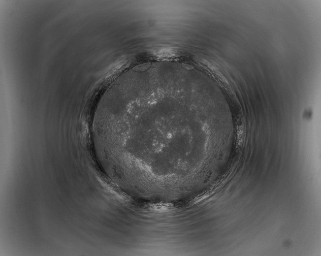 X0000098150618200804171614