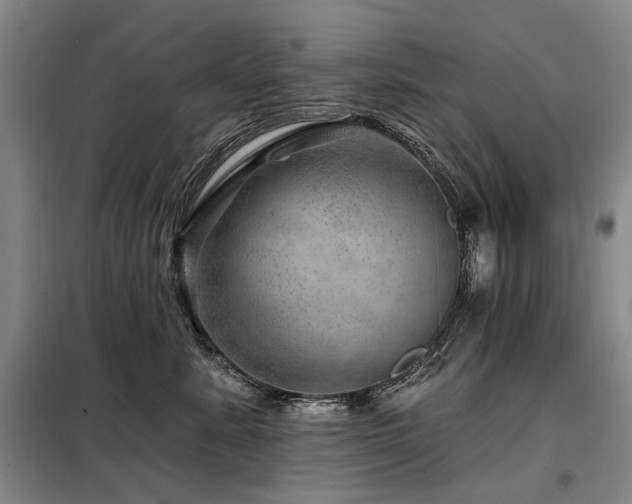 X0000098150619200804171614