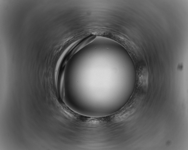 X0000098150620200804171614