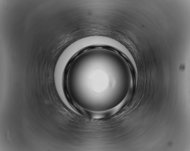 X0000098150621200804171614