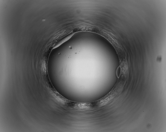 X0000098150622200804171614