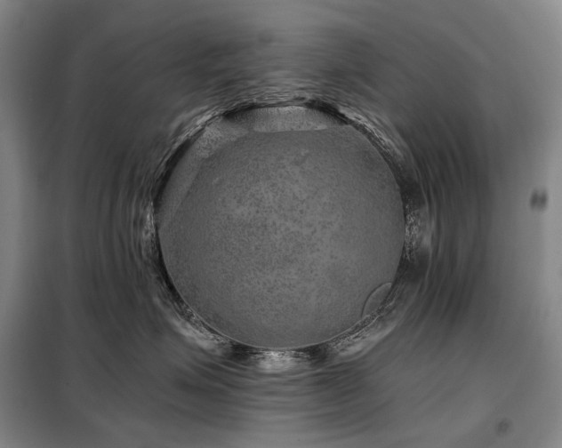 X0000098150623200804171614