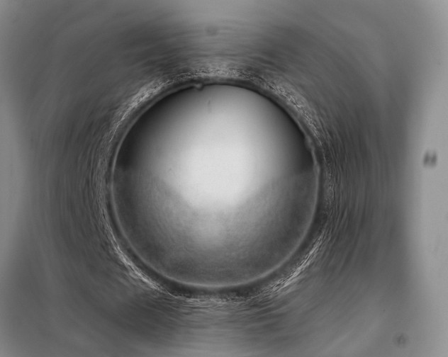 X0000098150625200804171614