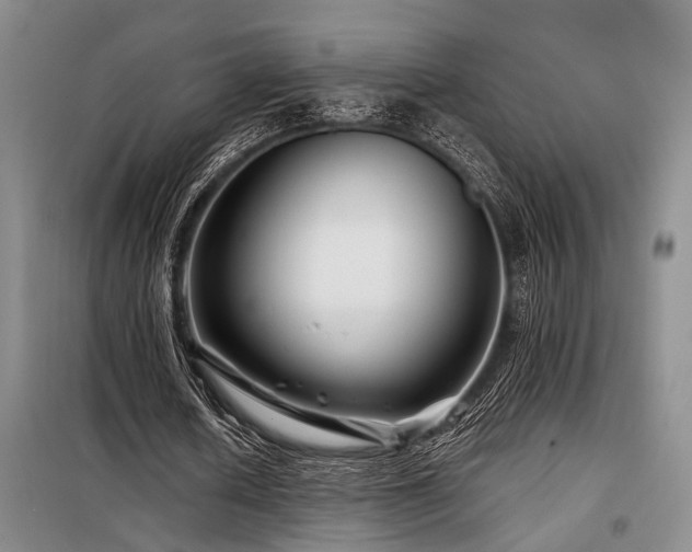 X0000098150626200804171614