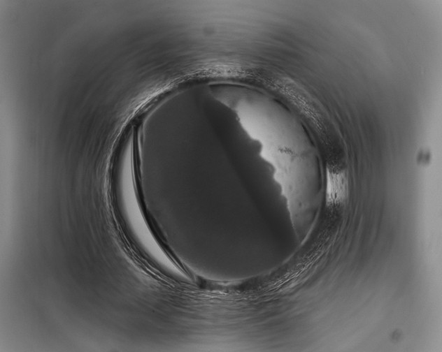 X0000098150627200804171614