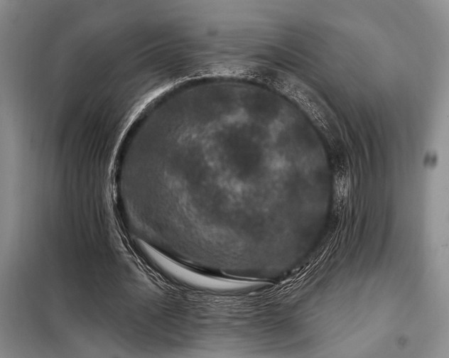 X0000098150628200804171614