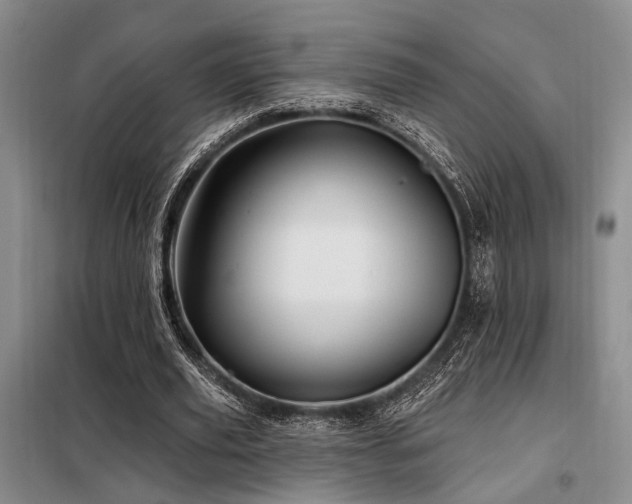 X0000098150629200804171614