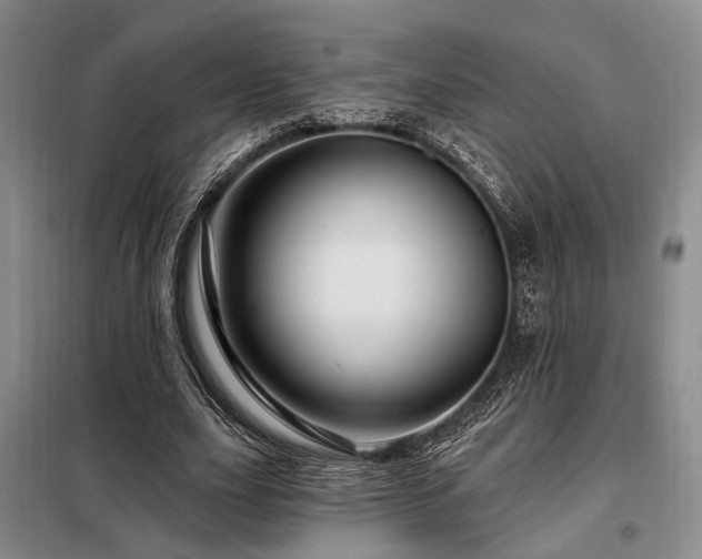X0000098150631200804171614