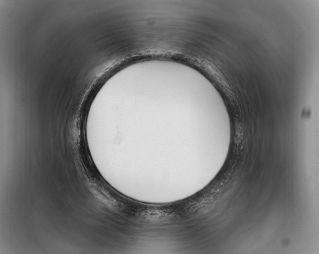 X0000098150632200804171614