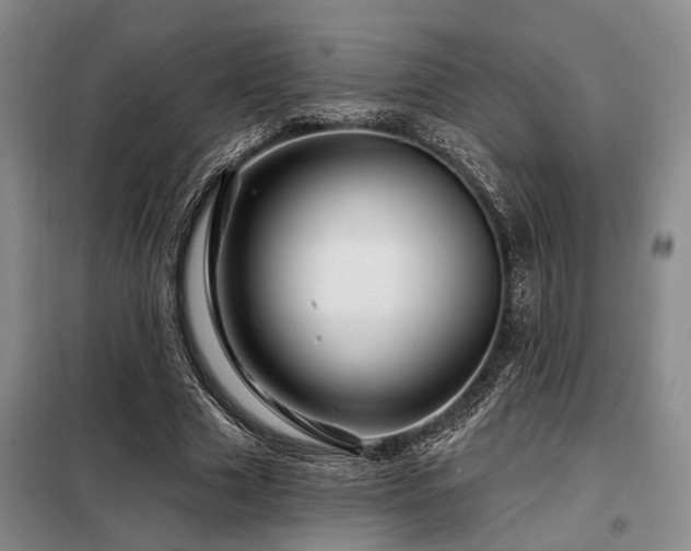 X0000098150633200804171614