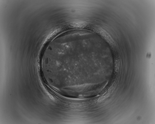 X0000098150634200804171614