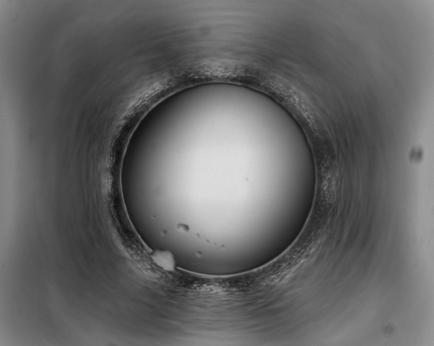 X0000098150635200804171614
