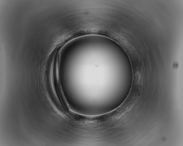 X0000098150638200804171614