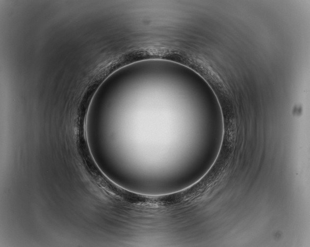 X0000098150639200804171614