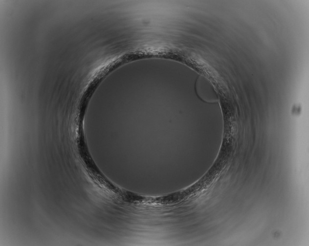 X0000098150640200804171614