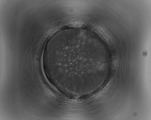 X0000098150641200804171614