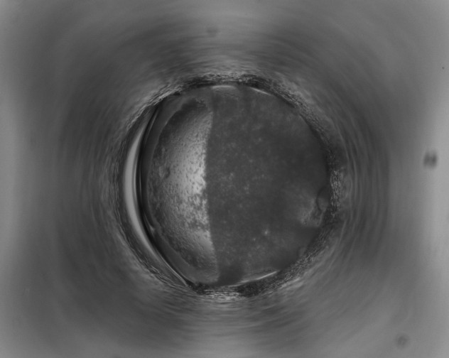X0000098150642200804171614