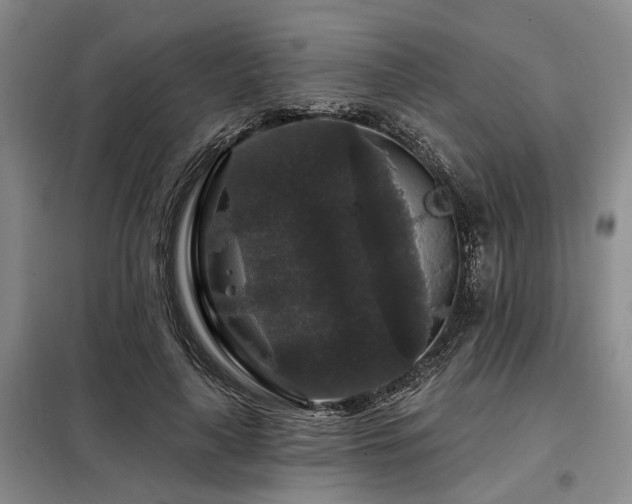 X0000098150643200804171614