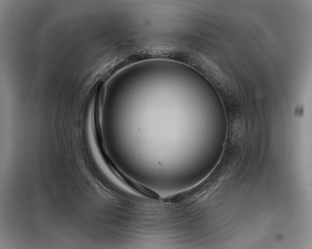 X0000098150644200804171614