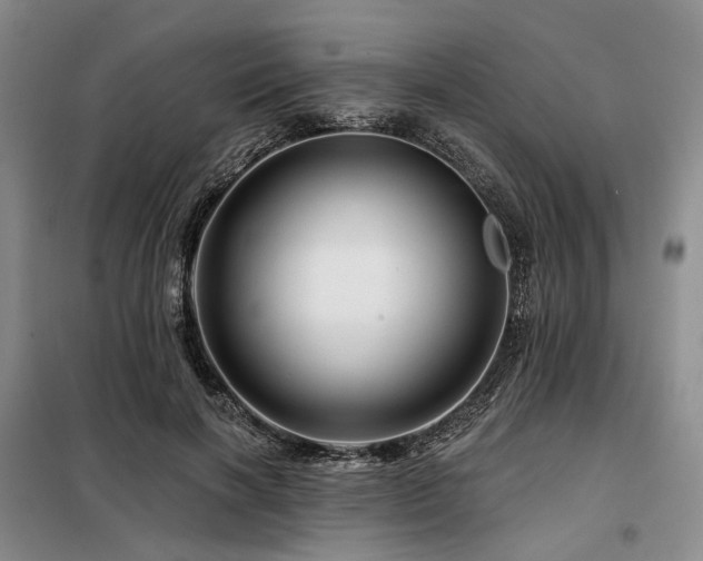 X0000098150646200804171614