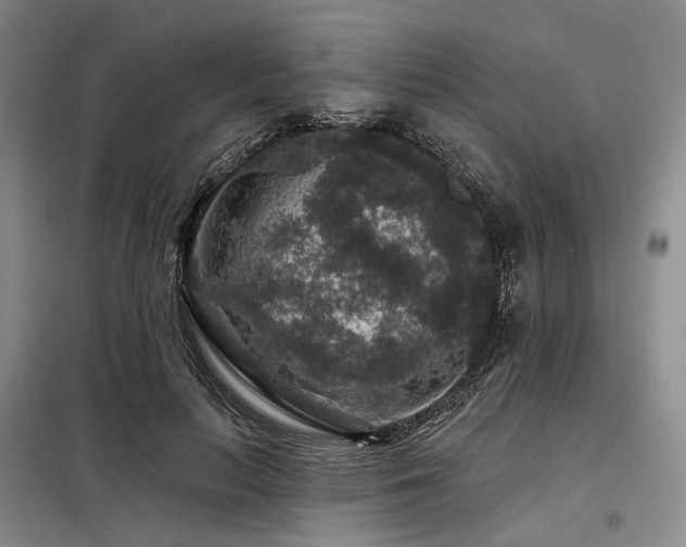 X0000098150647200804171614