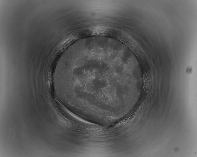 X0000098150648200804171614