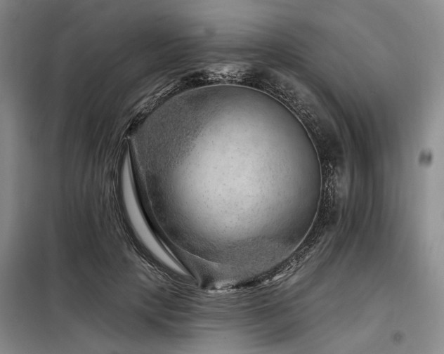 X0000098150649200804171614