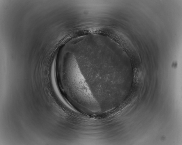 X0000098150650200804171614