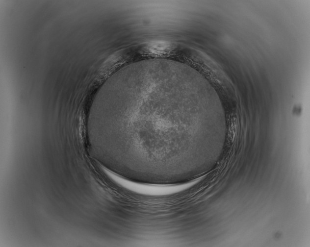 X0000098150651200804171614
