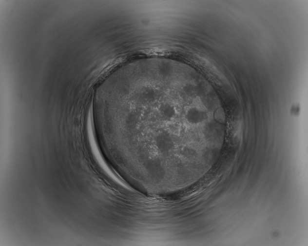X0000098150652200804171614