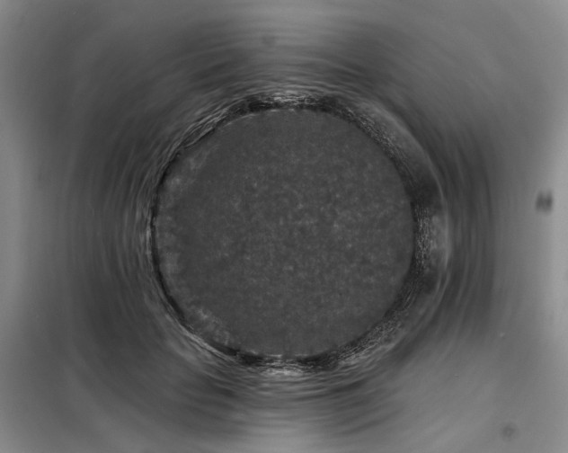 X0000098150653200804171614
