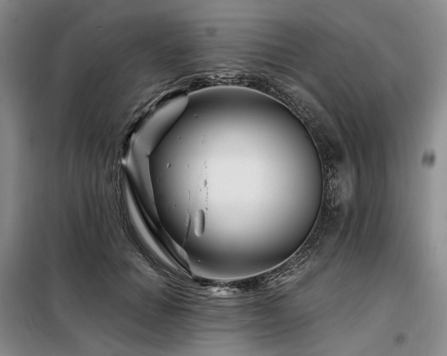 X0000098150654200804171614
