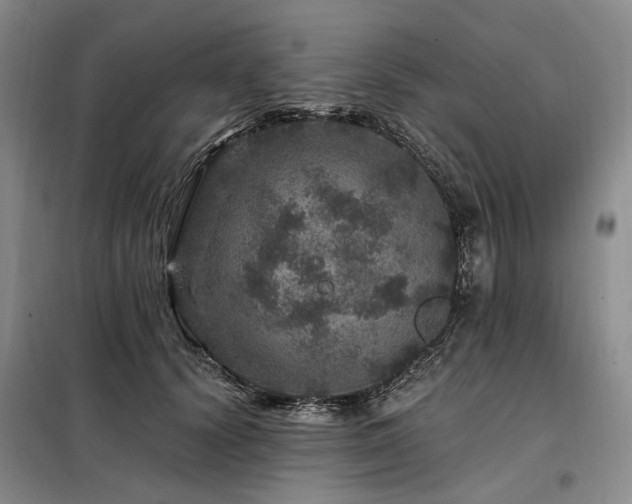 X0000098150656200804171614
