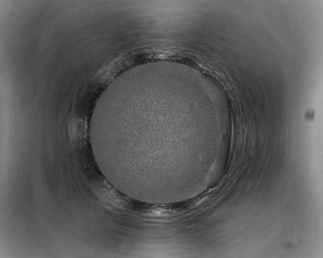 X0000098150657200804171614