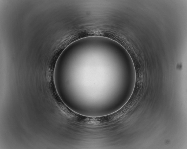 X0000098150658200804171614