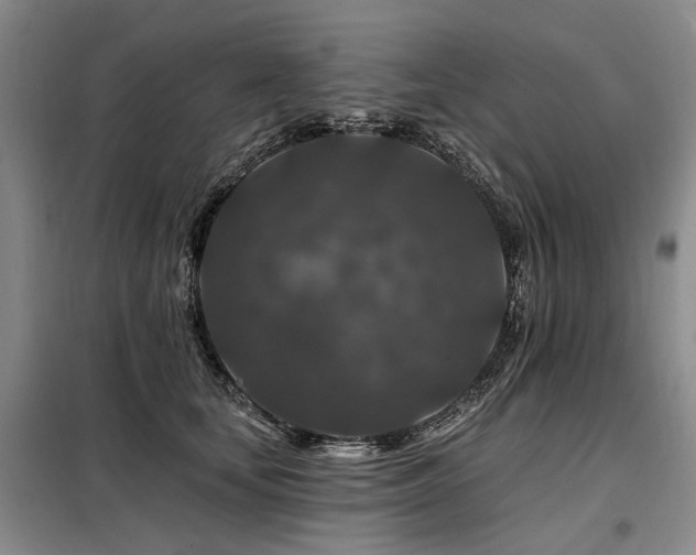 X0000098150659200804171614