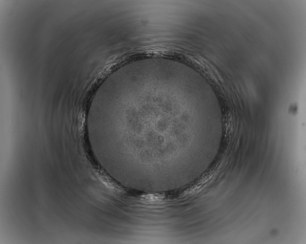 X0000098150660200804171614